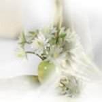 pic for White flower
